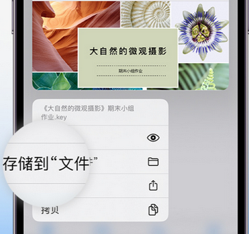 镇远apple维修中心分享iPhone文件应用中存储和找到下载文件