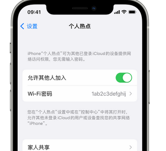 镇远apple服务站点分享iPhone上个人热点丢失了怎么办 