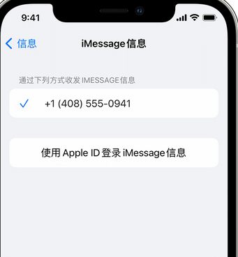 镇远apple维修iPhone上无法正常发送iMessage信息 