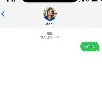 镇远apple维修iPhone上无法正常发送iMessage信息