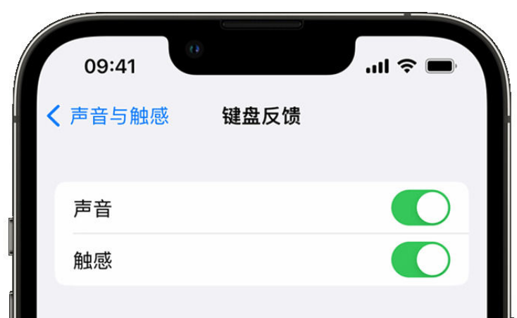 镇远苹果手机维修分享iPhone 14触感键盘使用方法 