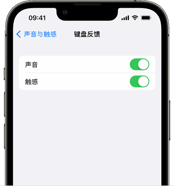 镇远苹果14维修店分享如何在 iPhone 14 机型中使用触感键盘 