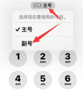 镇远苹果14维修店分享iPhone 14 Pro Max使用副卡打电话的方法 