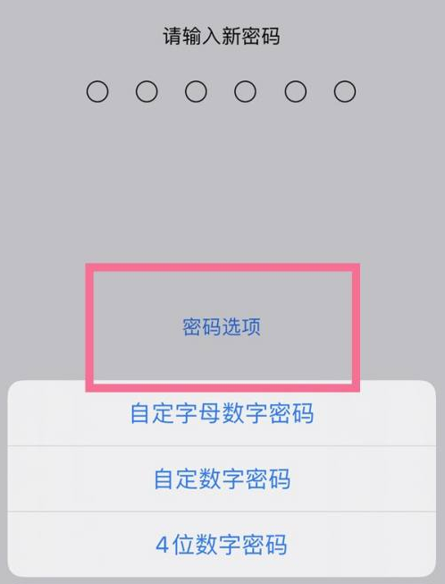 镇远苹果14维修分享iPhone 14plus设置密码的方法 