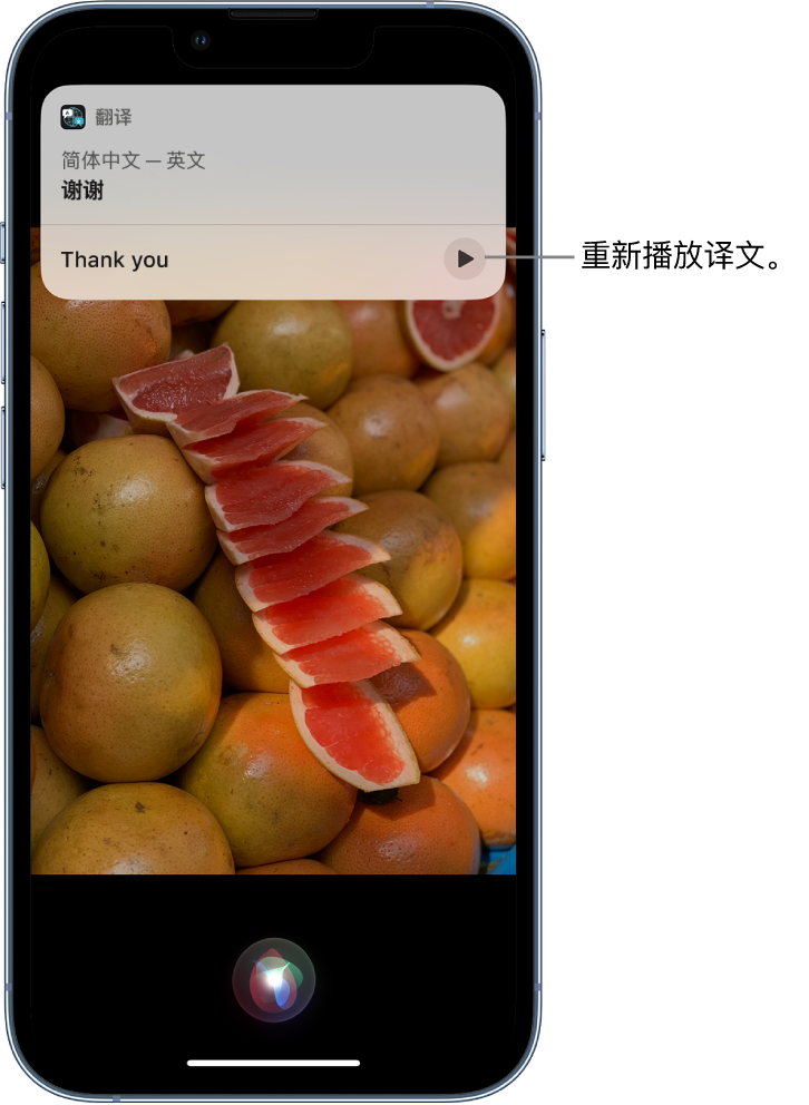 镇远苹果14维修分享 iPhone 14 机型中使用 Siri：了解 Siri 能帮你做什么 