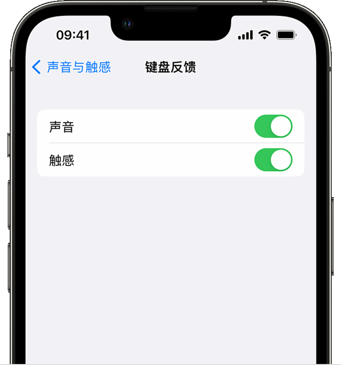 镇远苹果14维修分享iPhone 14 系列机型如何开启键盘声音或触感反馈 