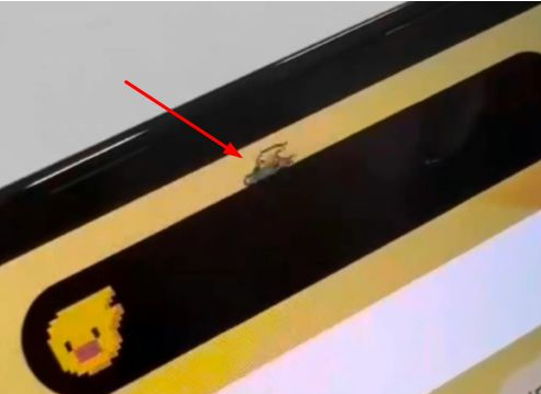 镇远苹果14维修分享iPhone 14 Pro Max灵动岛怎么养宠物 