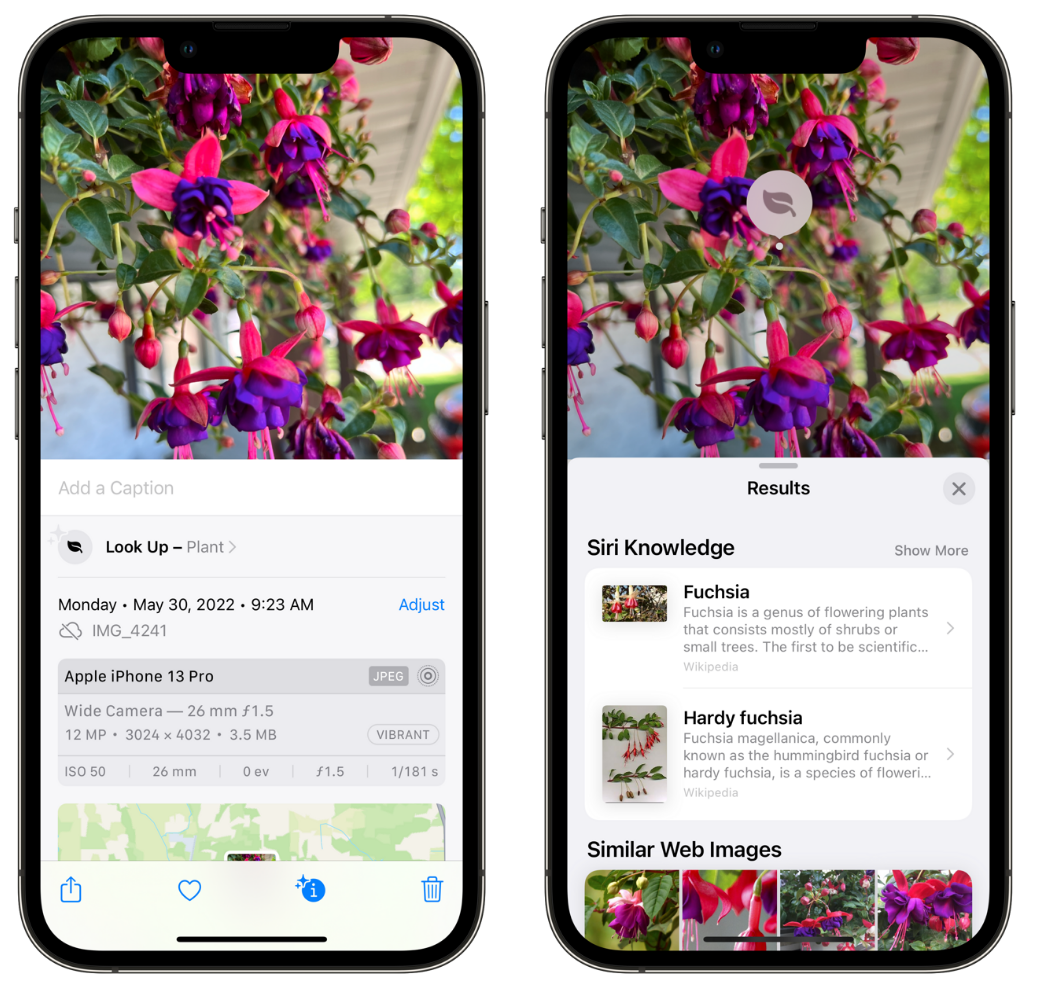 镇远苹果手机维修分享小技巧：使用 iPhone 相机识别花卉植物 