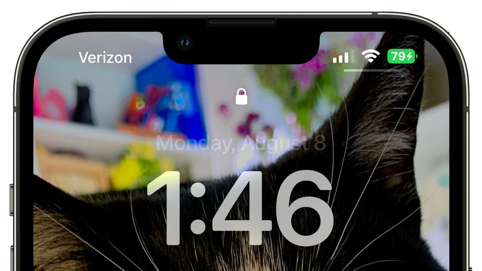 镇远苹果手机维修分享iOS 16 beta 5 支持状态栏显示电池百分比，如何开启？支持哪些机型 