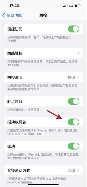 镇远苹果手机维修分享iPhone手机如何设置摇一摇删除文字 
