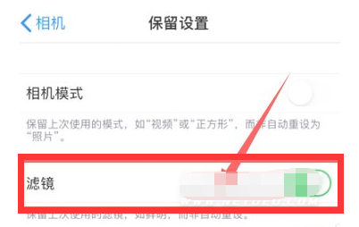 镇远苹果13维修分享iPhone13拍照有绿点是怎么回事 