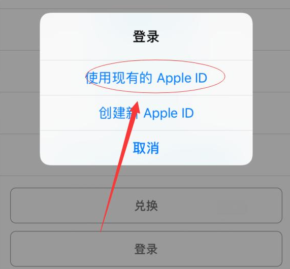 镇远苹果手机维修分享两台iPhone设备可以同时登录一个Apple ID吗 