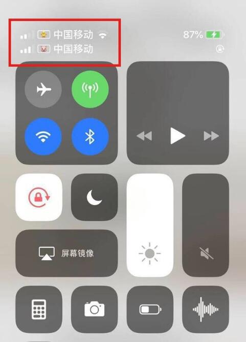 镇远苹果手机维修分享为 iPhone 12 双卡设置标签 